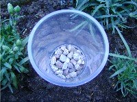 yoghurt pot with gravel in. 